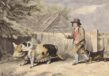 Farmer Taking His Pig to Market