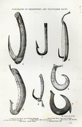 Fish-hooks of Prehistoric and Uncivilised races, from 
