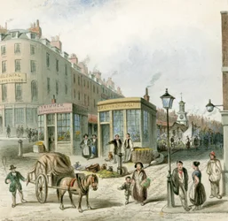 Fleet Market