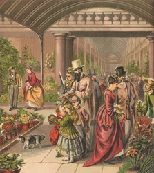 Flower Market
