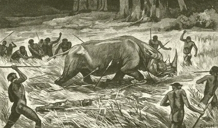 Following the Noosed Rhinoceros