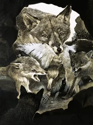 Fox Delivering Food to Its Cubs