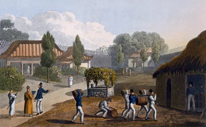 Garden of the Temple of Lewchew, 1820