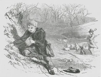 Gathering Primroses