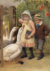 Geese chasing children for their food