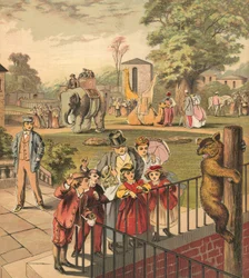 Going to the Zoo