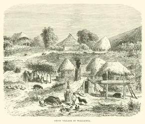 Gypsy Village in Wallachia