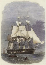 HM Steam Corvette Racoon