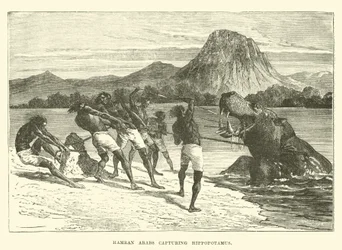 Hamran Arabs Capturing Hippopotamus