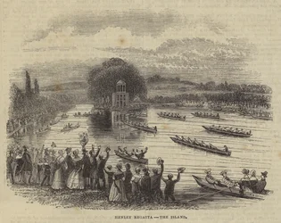 Henley Regatta, the Island