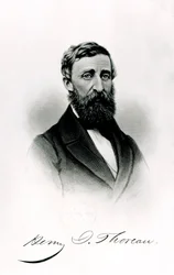 Henry David Thoreau