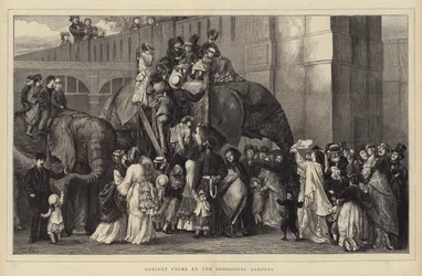 Holiday Folks at the Zoological Gardens