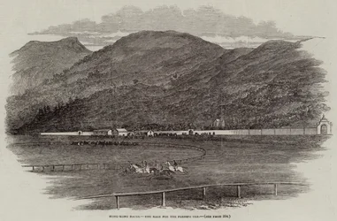 Hong-Kong Races, the Race for the Plenipo Cup