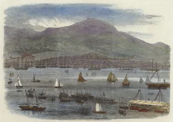 Hong Kong Regatta