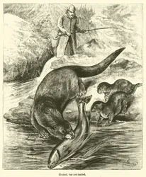 Hooked, but Not Landed