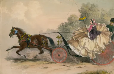 Horse and carriage at speed with a lady at the whip; prostitution