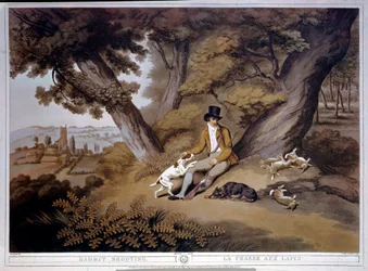 Hunting rabbits in England. 19th century engraving. Gien, hunting museum