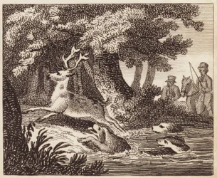 Hunting the Stag