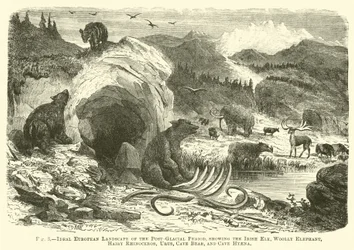 Ideal European Landscape of the Post-Glacial Period, showing the Irish Elk, Woolly Elephant, Hairy Rhinoceros, Urus, Cave Bear, and Cave Hyaena