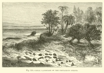 Ideal Landscape of the Cretaceous Period