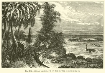 Ideal Landscape of the Lower Oolite Period