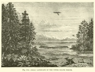 Ideal Landscape of the Upper Oolite Period