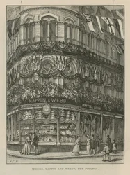 Illuminations and Decorations Adorn Messrs Mappin and Webb