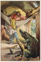 Illustration for Martin Rattler by Ballantyne: An Intruder
