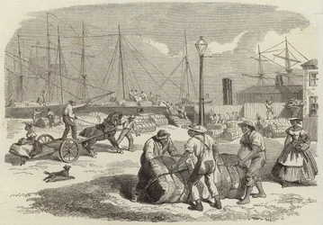 Illustrations of the War in America
