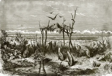 Indian Sepulchre in the Long Grass Prairie, on the Saskatchewan River