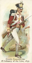 Infantry Of The Line