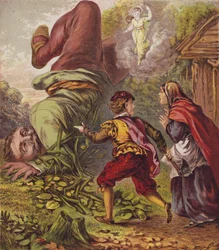 Jack and the Beanstalk