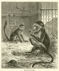 Jack and His First Cigar