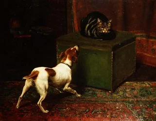 Jealous Animals