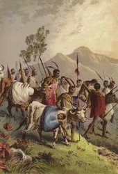 Kaffirs carrying their wounded from the war