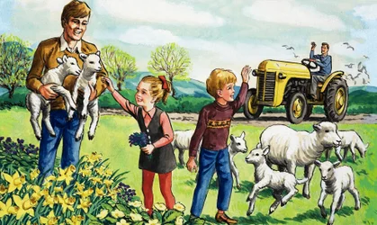 Lambs in the Spring