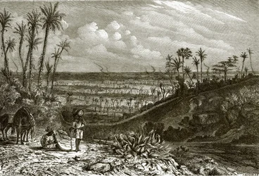 Landscape in the Island of Cuba