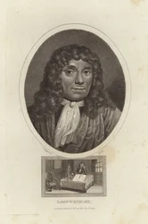 Leeuwenhoek