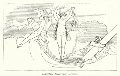 Leucothoe preserving Ulysses