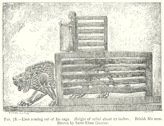 Lion Coming Out of His Cage