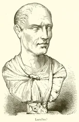 Lucullus