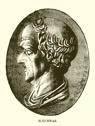 Maecenas