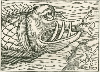 Man being eaten by a sea serpent (Illustration on the margin of a map by Olaus Magnus)