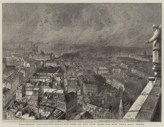 Manchester Illustrated, Bird