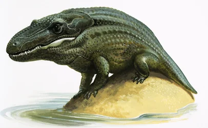 Mastodosaurus