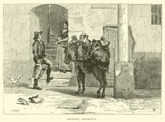 Milkman, Salamanca