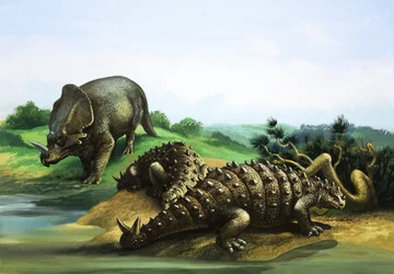 Monoclonius and Scolosaurus