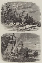 Moose-Hunting in Canada