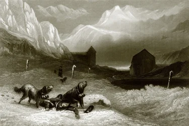 Mount St. Bernhard