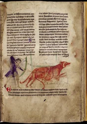 Huntsman aiming an arrow at two beavers, from a Bestiary, early 13th century